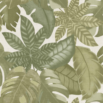 Béžovo-zelená vliesová tapeta na zeď, tropické zelené listy, 26415, Thai, Cristiana Masi by Parato