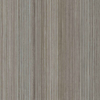 Šedo-hnědá vliesová proužková tapeta na zeď, 43856, Terra, Cristiana Masi by Parato