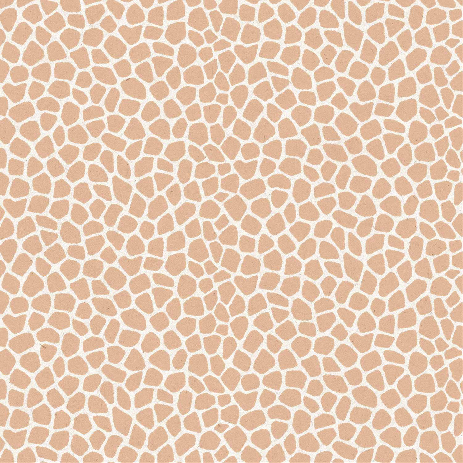 Hnědo-bílá vliesová tapeta na zeď, 17182, MiniMe, Cristiana Masi by Parato