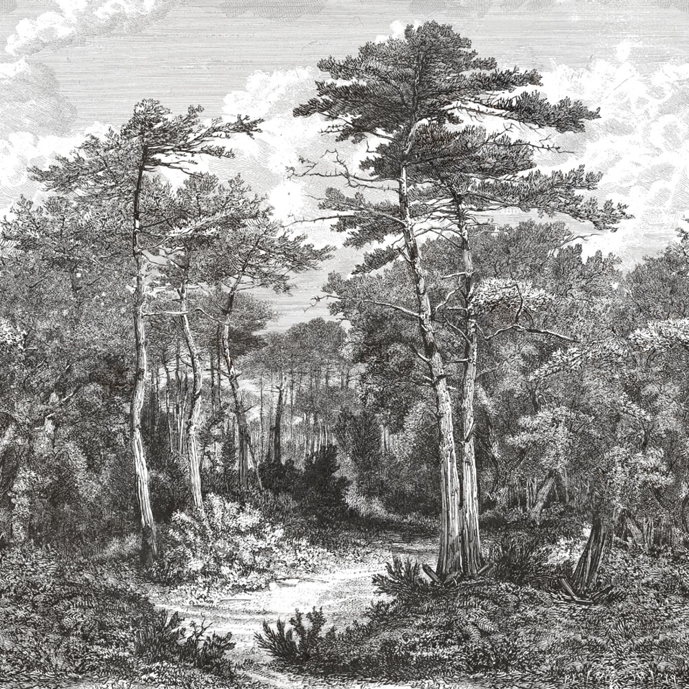 Luxusní vliesová obrazová tapeta na zeď, les, stromy, Z34968, Elie Saab 2