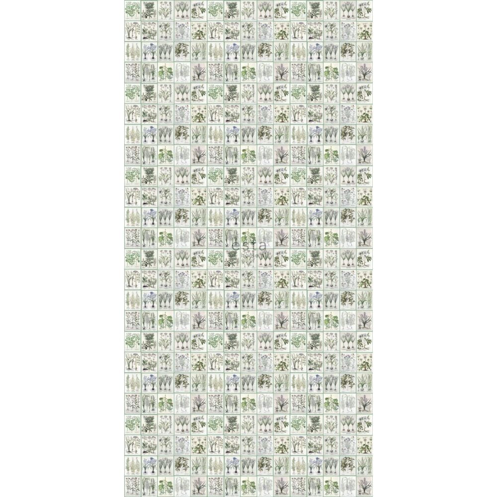 Vliesová tapeta s rostlinami a květinami, 159229, Vintage Flowers, Esta Home