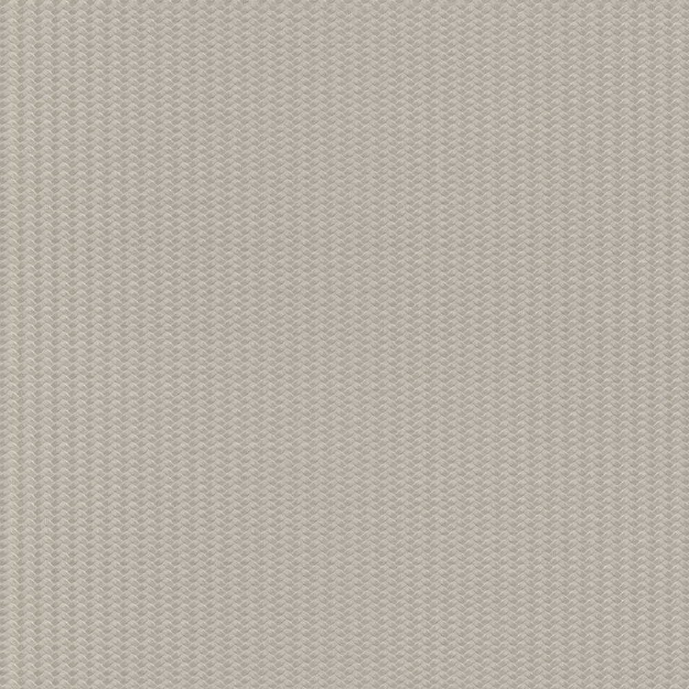 Luxusní šedo-béžová vliesová tapeta na zeď, Z12839, Automobili Lamborghini 3