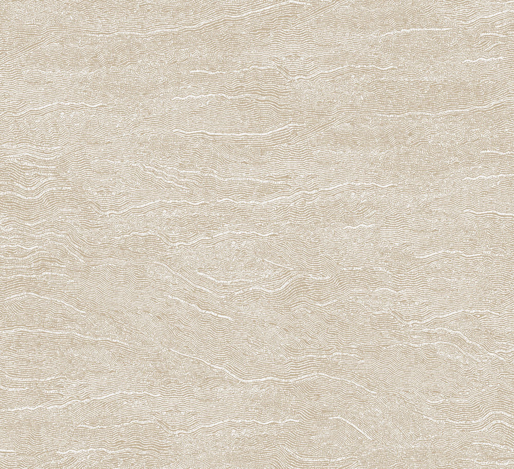 Vliesová tapeta na zeď, vlnky, hnědo-béžová, TER008, Terra, The Colour Book II, Masureel