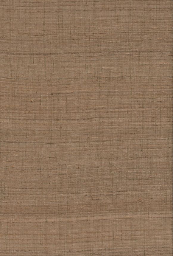 86541, Wild Silk, Arte