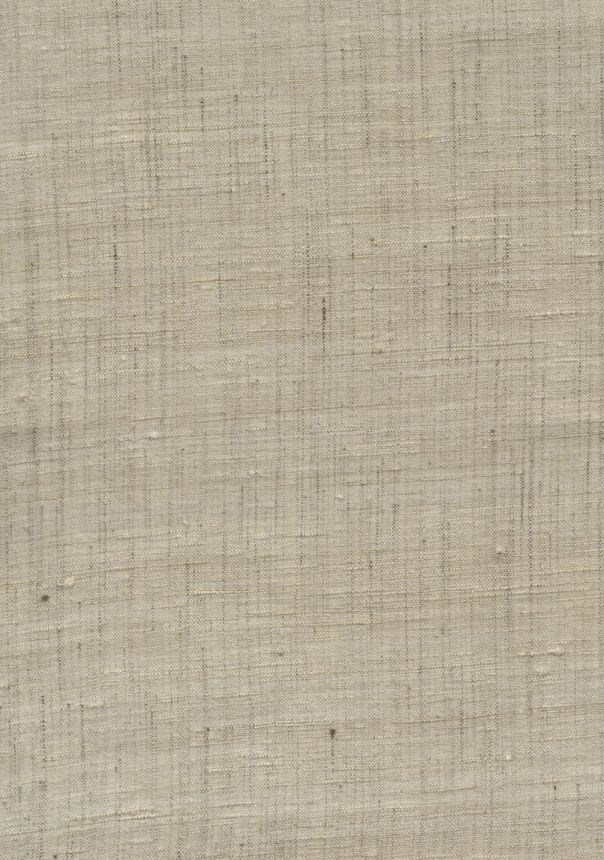 86544, Wild Silk, Arte