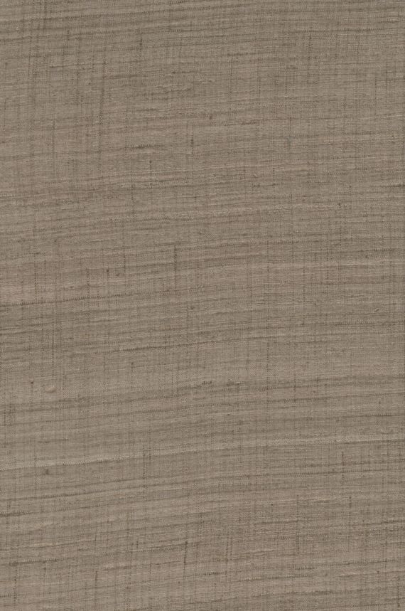 86545, Wild Silk, Arte