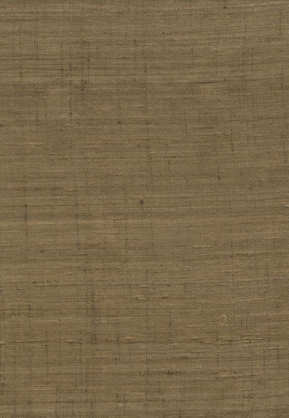 86547, Wild Silk, Arte
