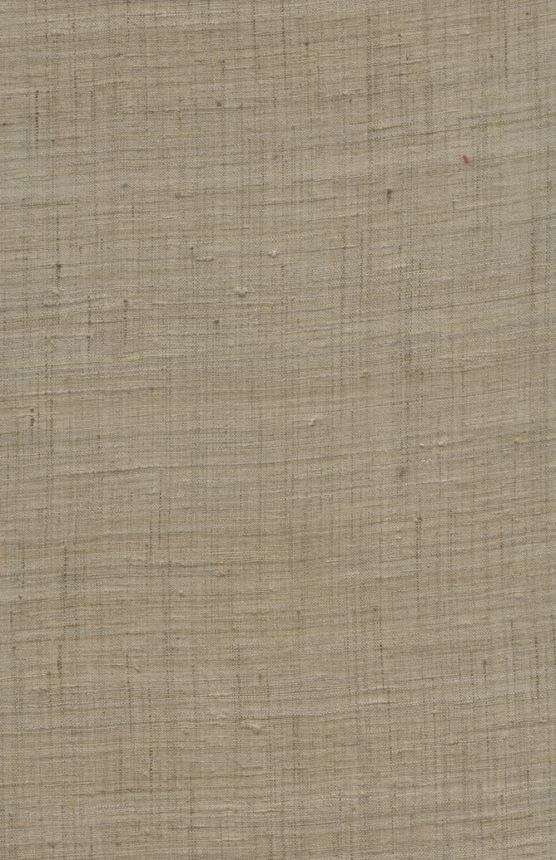86548, Wild Silk, Arte