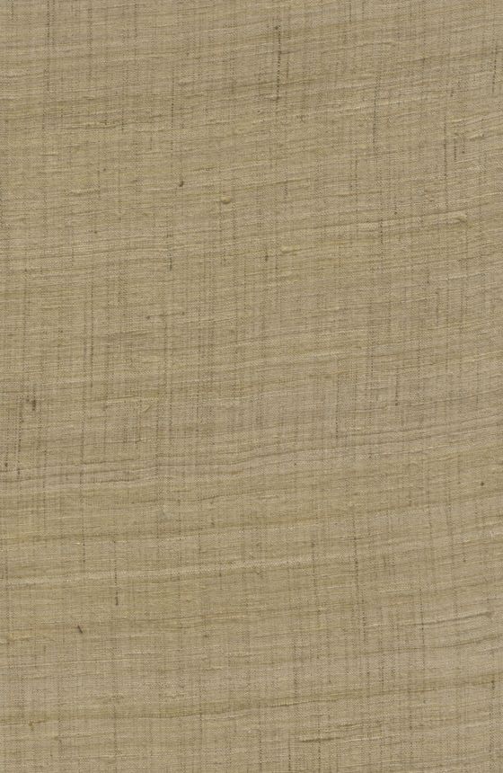 86549, Wild Silk, Arte