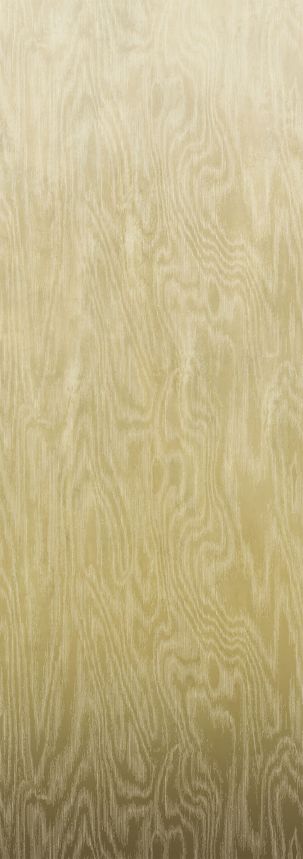 Vliesová fototapeta na zeď, Moiré, DG4MOI1012-260, Wall Designs IV, Khroma by Masureel