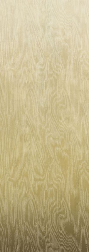 Vliesová fototapeta na zeď, Moiré, DG4MOI1013-260, Wall Designs IV, Khroma by Masureel