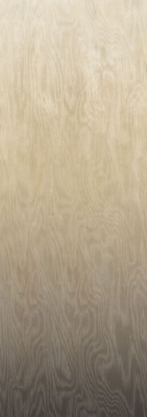 Vliesová fototapeta na zeď, Moiré, DG4MOI1051-260, Wall Designs IV, Khroma by Masureel