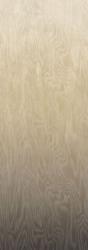 Vliesová fototapeta na zeď, Moiré, DG4MOI1052-260, Wall Designs IV, Khroma by Masureel