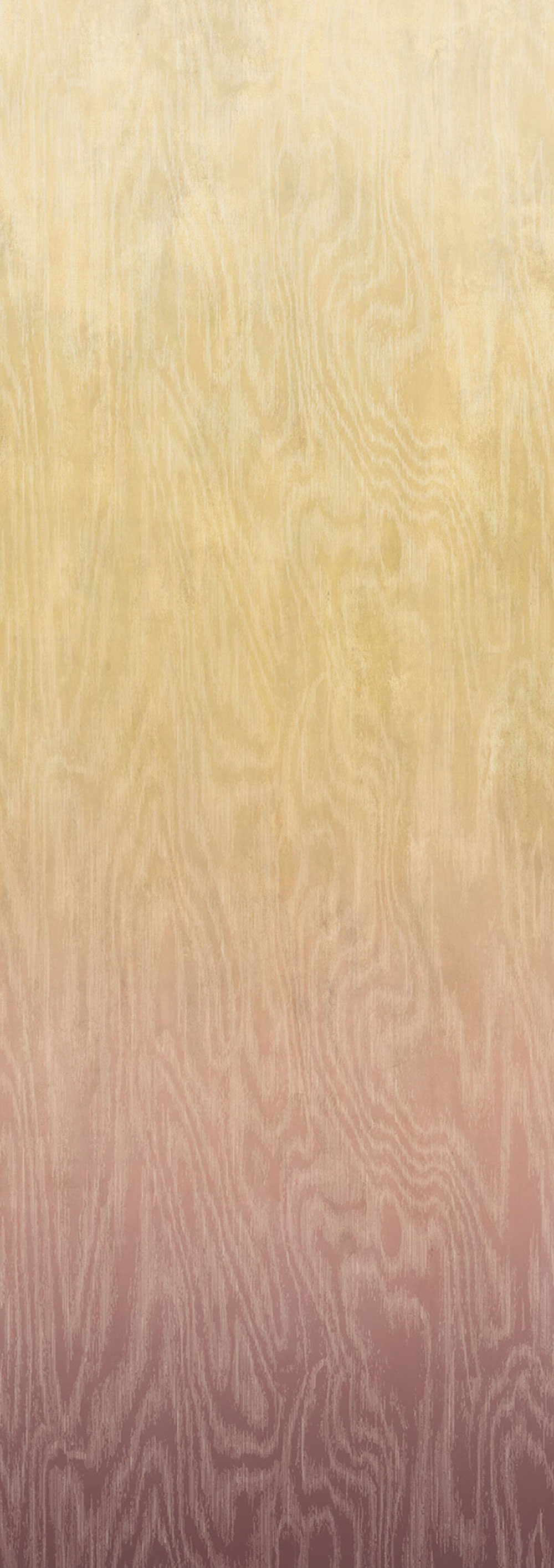 Vliesová fototapeta na zeď, Moiré, DG4MOI1062-300, Wall Designs IV, Khroma by Masureel