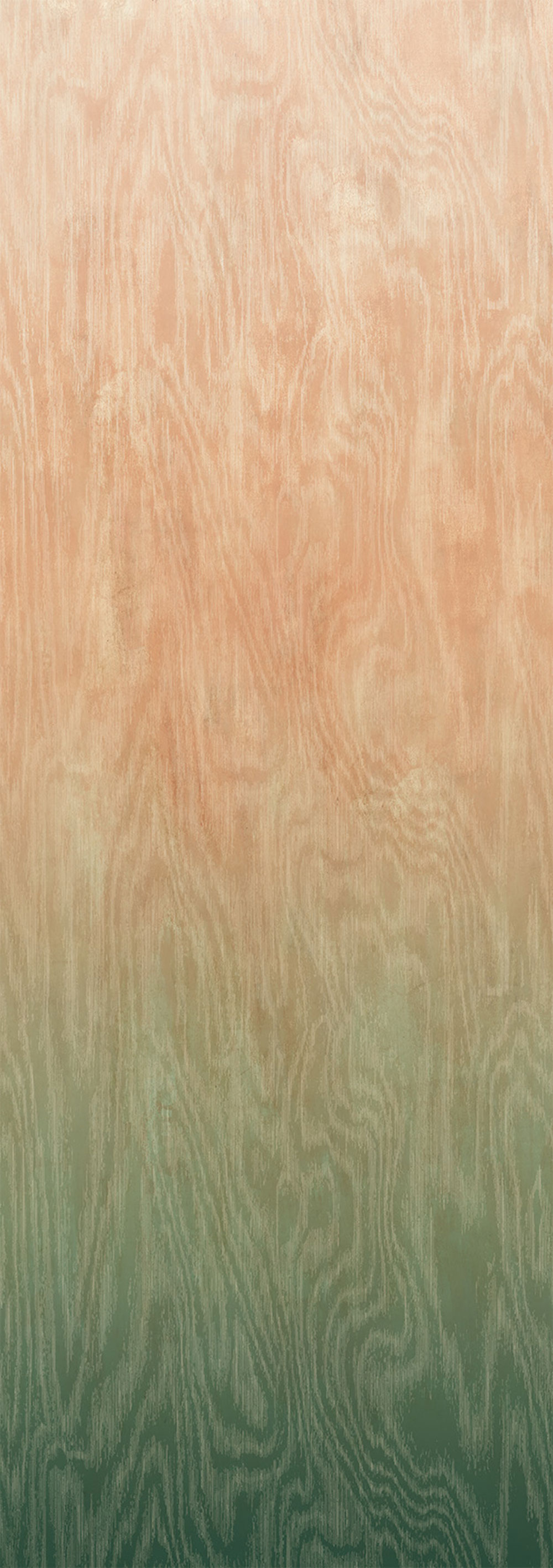 Vliesová fototapeta na zeď, Moiré, DG4MOI1081-300, Wall Designs IV, Khroma by Masureel