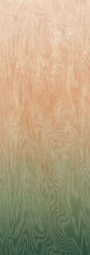 Vliesová fototapeta na zeď, Moiré, DG4MOI1081-300, Wall Designs IV, Khroma by Masureel