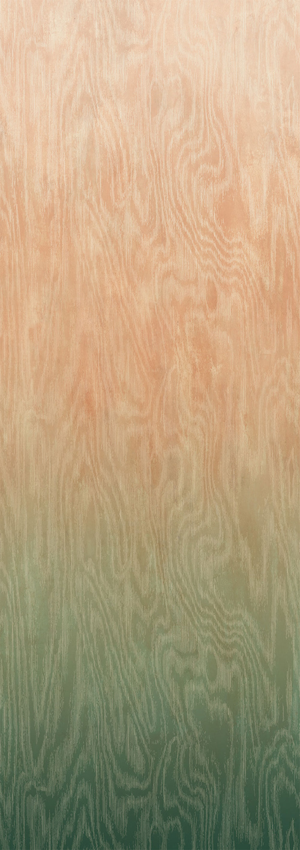 Vliesová fototapeta na zeď, Moiré, DG4MOI1082-260, Wall Designs IV, Khroma by Masureel