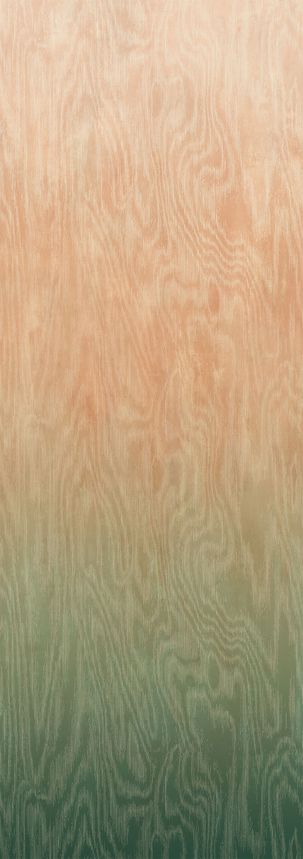 Vliesová fototapeta na zeď, Moiré, DG4MOI1082-300, Wall Designs IV, Khroma by Masureel