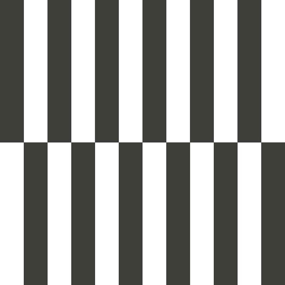 Vliesová tapeta na zeď, černo-bílá, pruhy, 15552, Botany House, Cristiana Masi by Parato