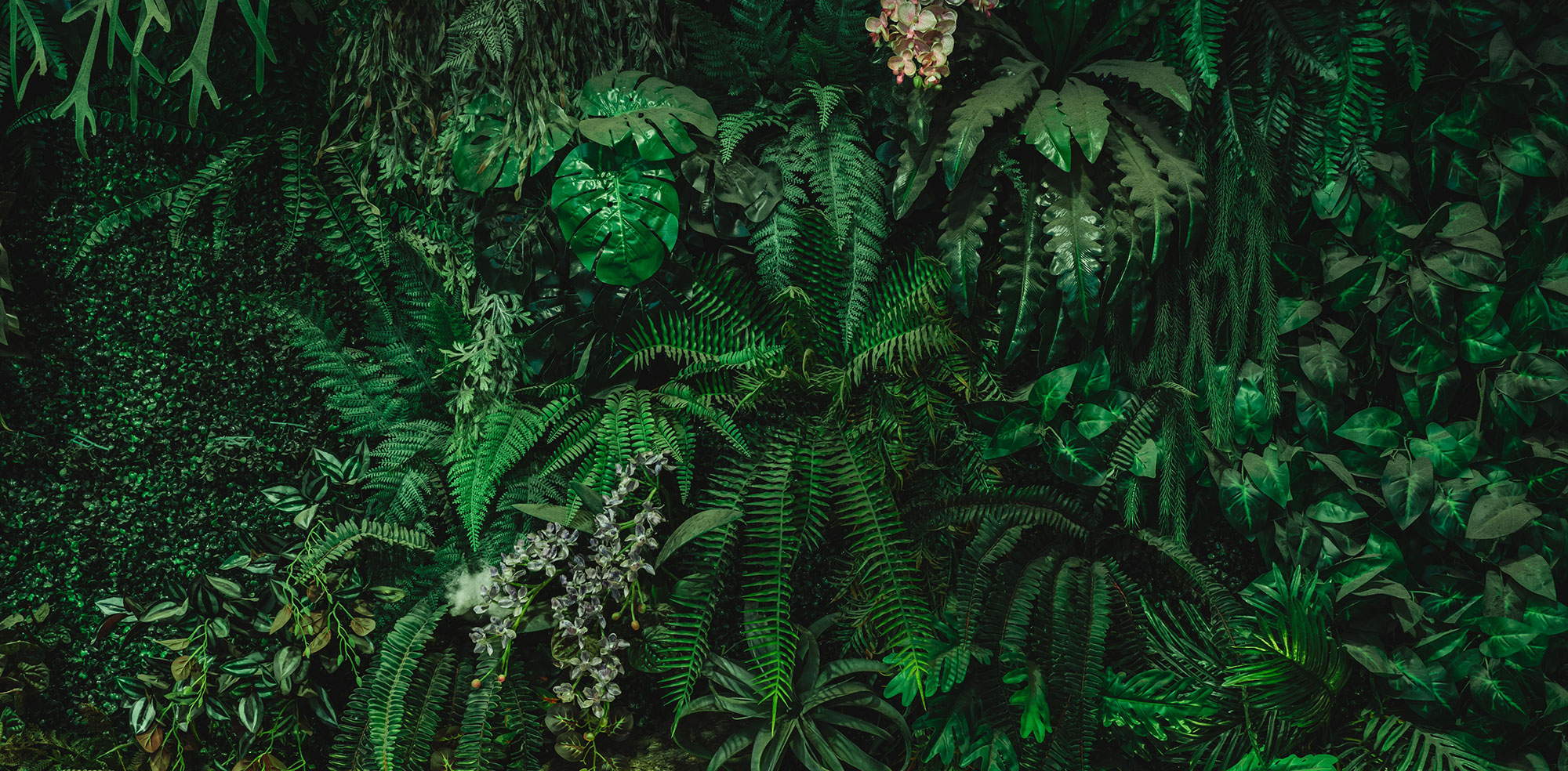 Fototapety na míru, Tropické listy, 10053, Vavex