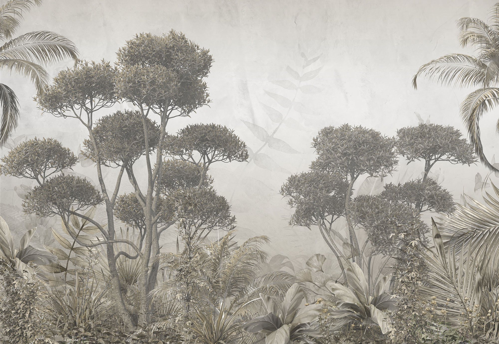 Fototapety na míru, Tropický les, stromy, 10108, Vavex