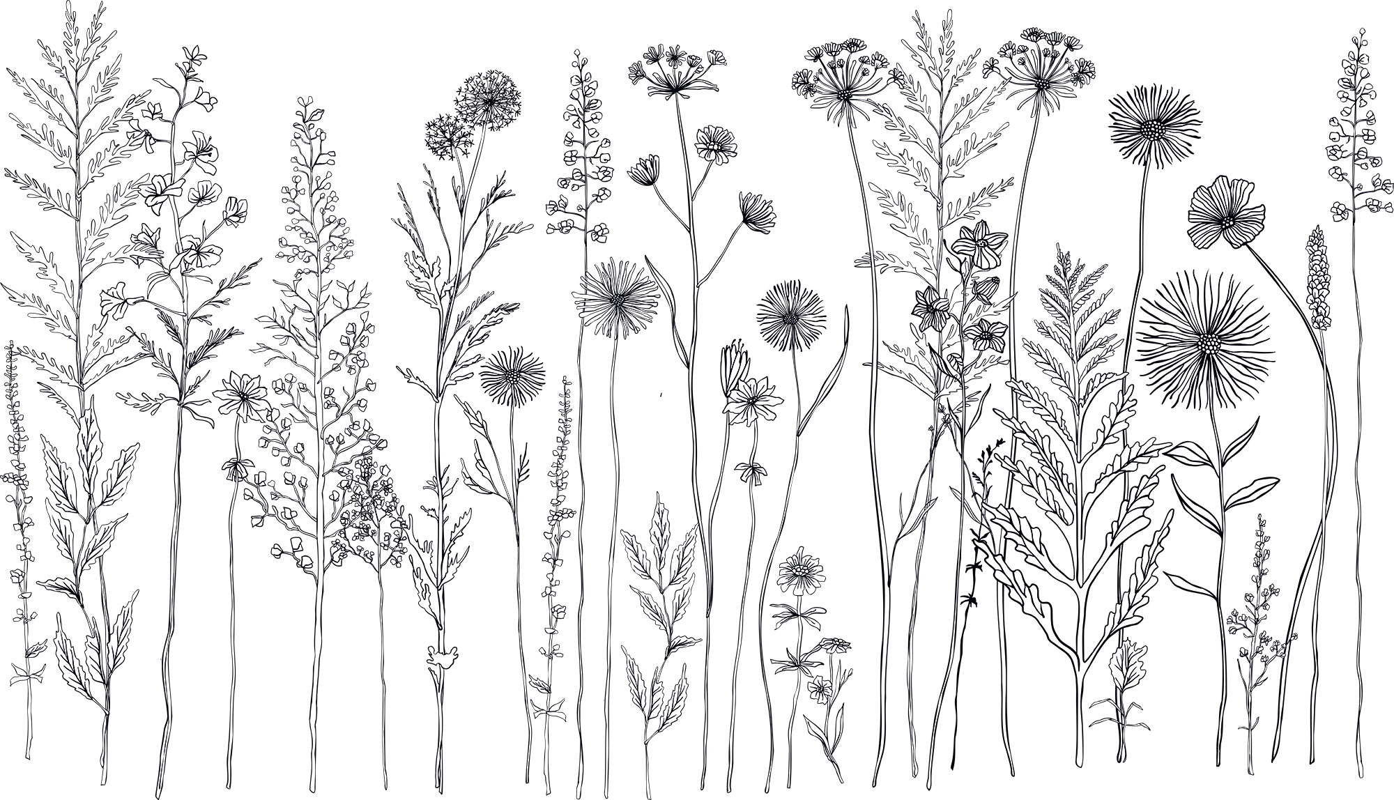 Fototapety na míru, Luční květiny, 10164, Vavex