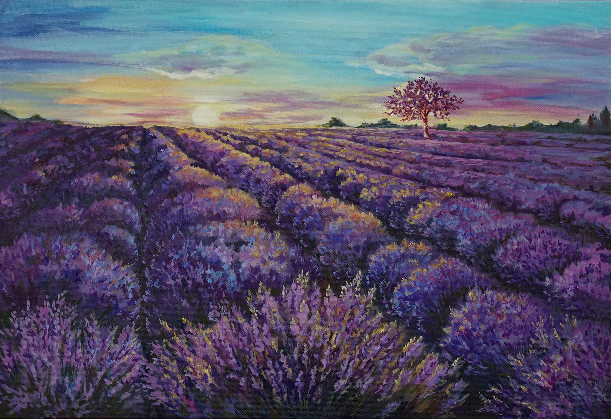 Fototapety na míru, Provence, Levandulové pole, 10166, Vavex