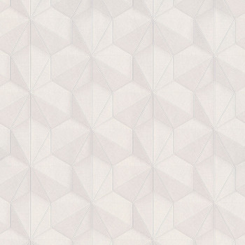 Vliesová tapeta s geometrickým vzorem 220370, Inspire, BN Walls