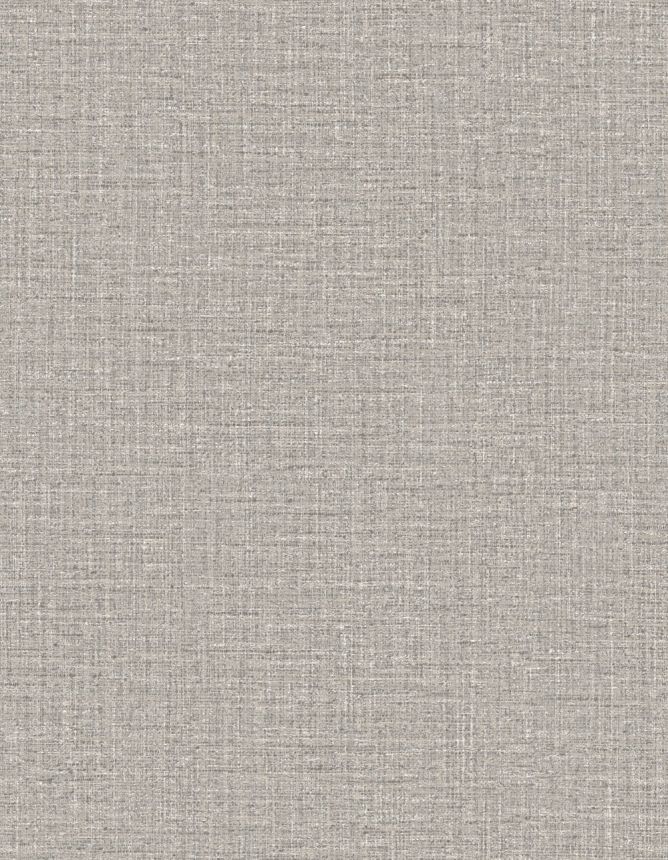 63543, Merino, Arte