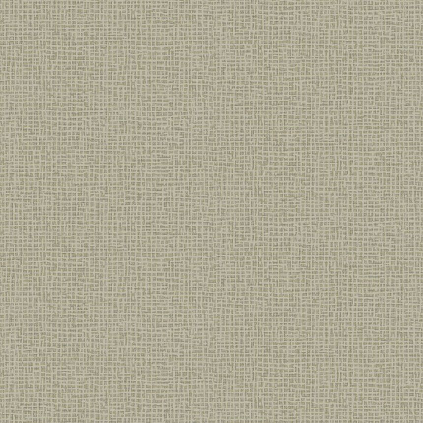 Vliesová tapeta na zeď, zelená, 4188, Alla Tiders Hus, Borastapeter