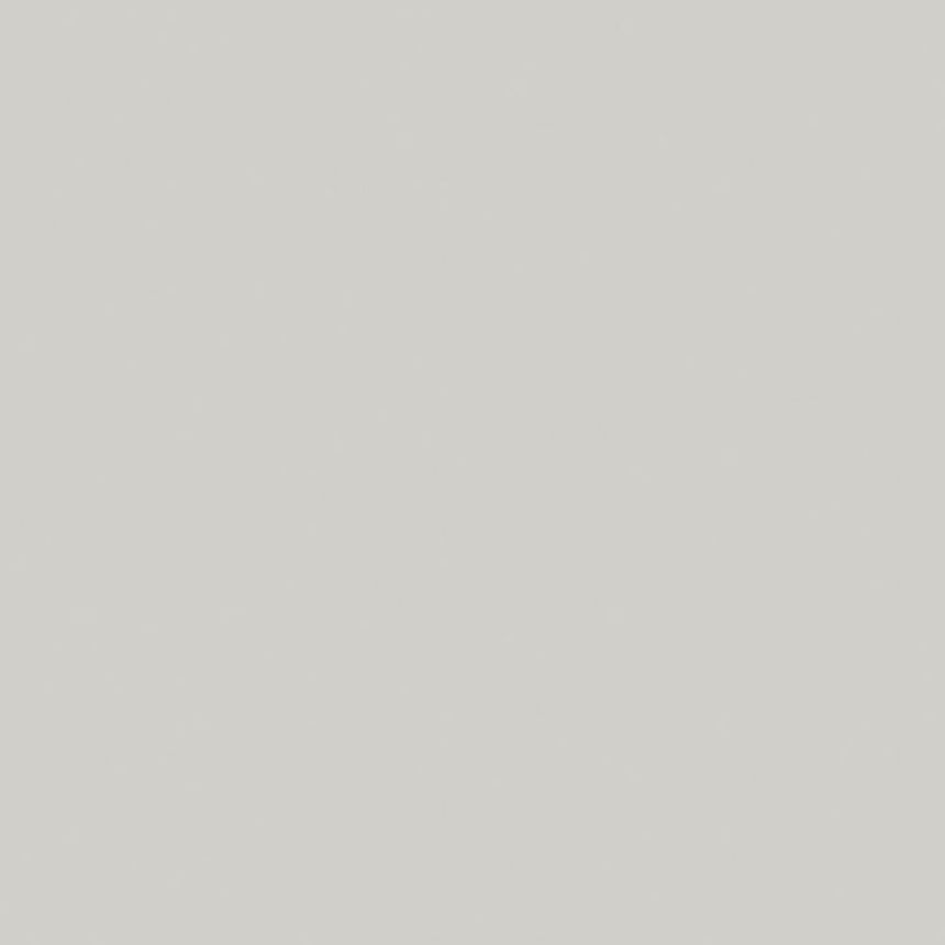 Vliesová tapeta na zeď, šedá, jednobarevná, 38725, Borosan Bas, Borastapeter