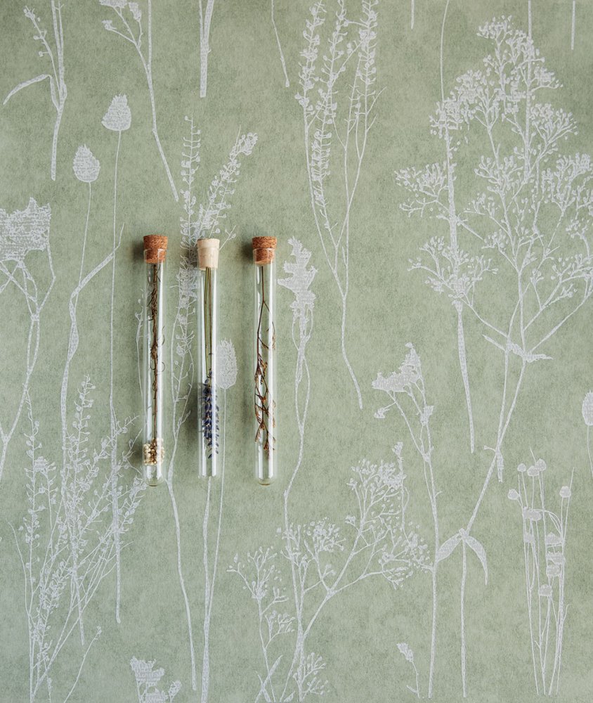 Vliesová tapeta na zeď 300811, Rostliny, Tráva, Waterfront, Eijffinger