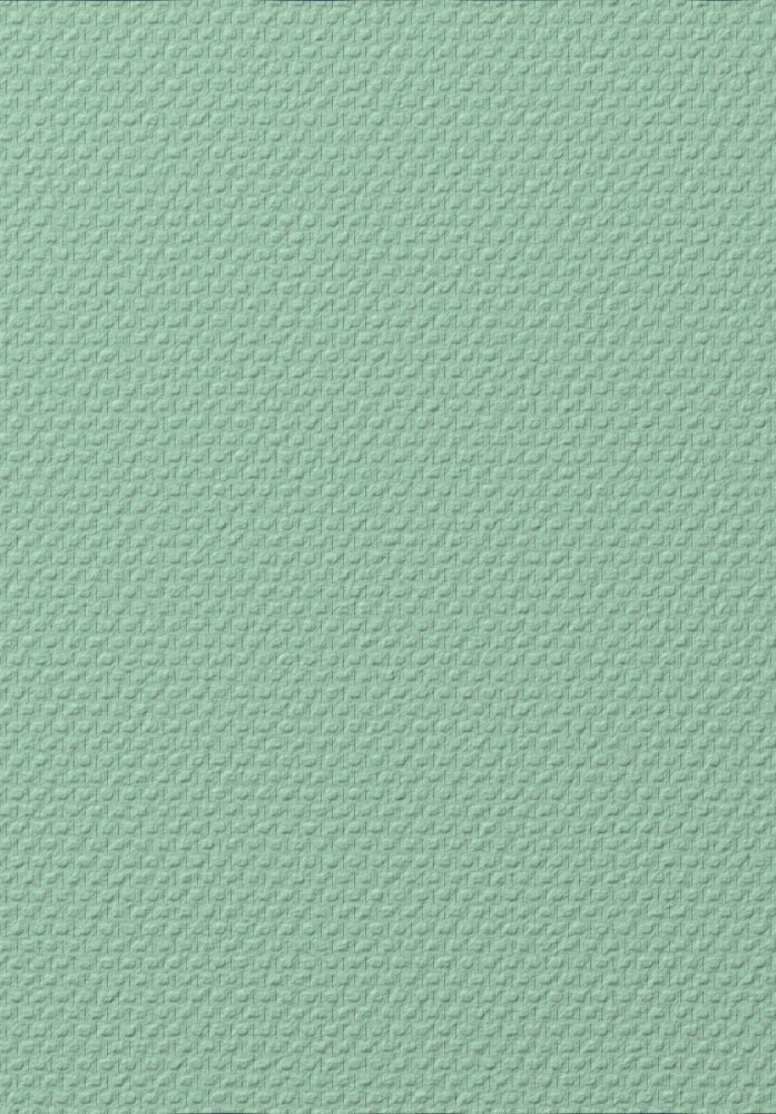 Přetíratelná sklovláknitá tapeta T1010, Old Friends II, Vavex 2025