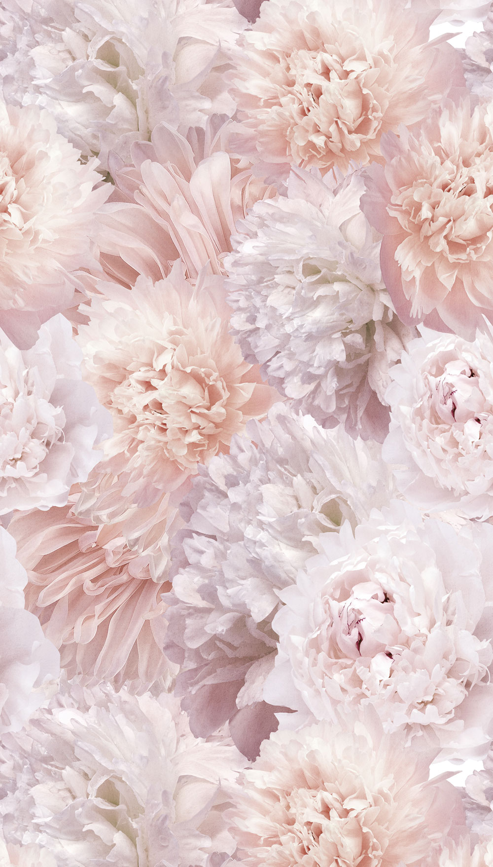 Vliesová fototapeta na zeď, květiny, A77501, One roll, one motif 2, Grandeco