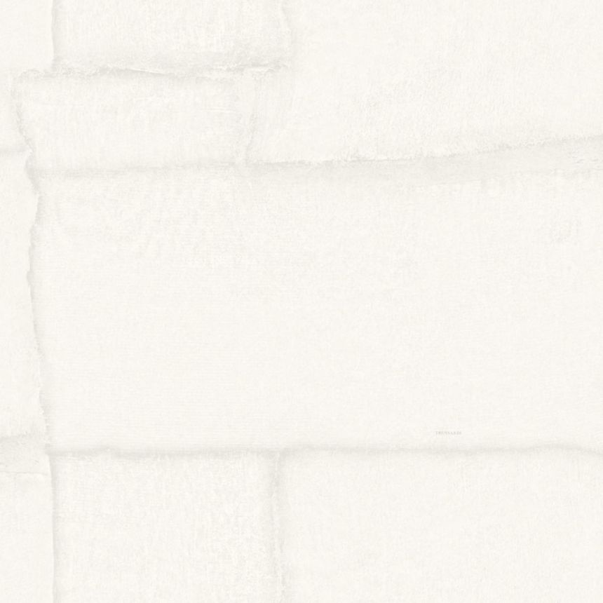 Luxusní vliesová tapeta na zeď, bílá, kámen, Z30302, Casa 8, Trussardi 