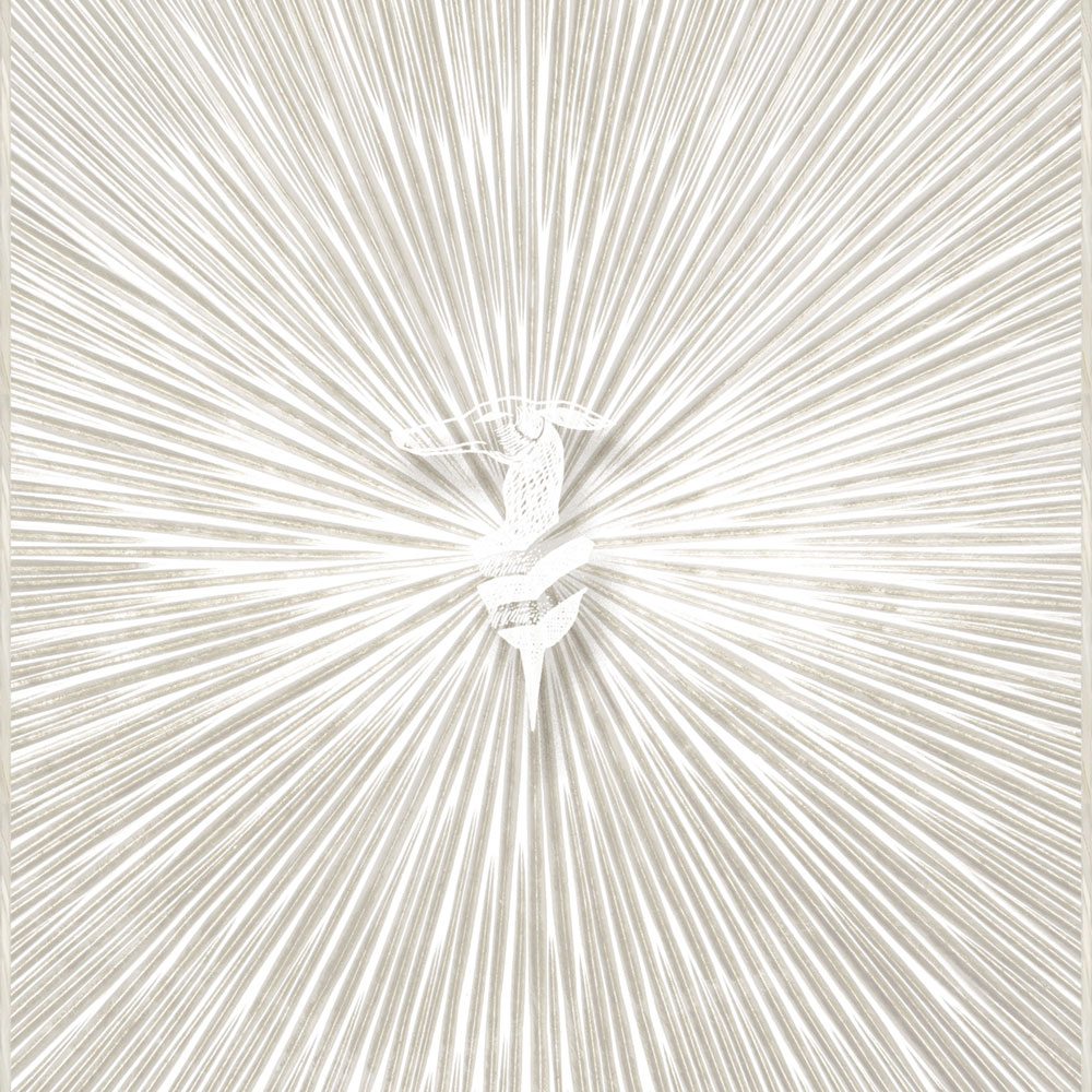 Luxusní vliesová fototapeta na zeď, Z30356, Casa 8, Trussardi 