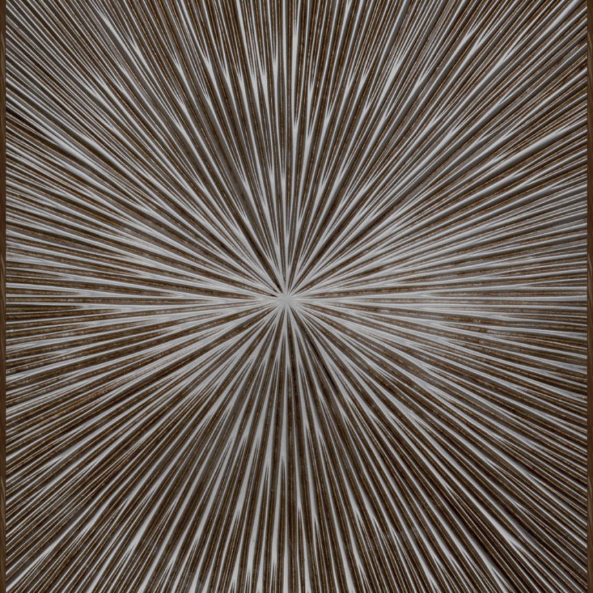 Luxusní vliesová fototapeta na zeď, Z30360, Casa 8, Trussardi 