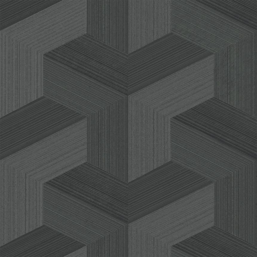 Vliesová tapeta na zeď, černá, grafický vzor, 347952, 3D Reflections, Origin