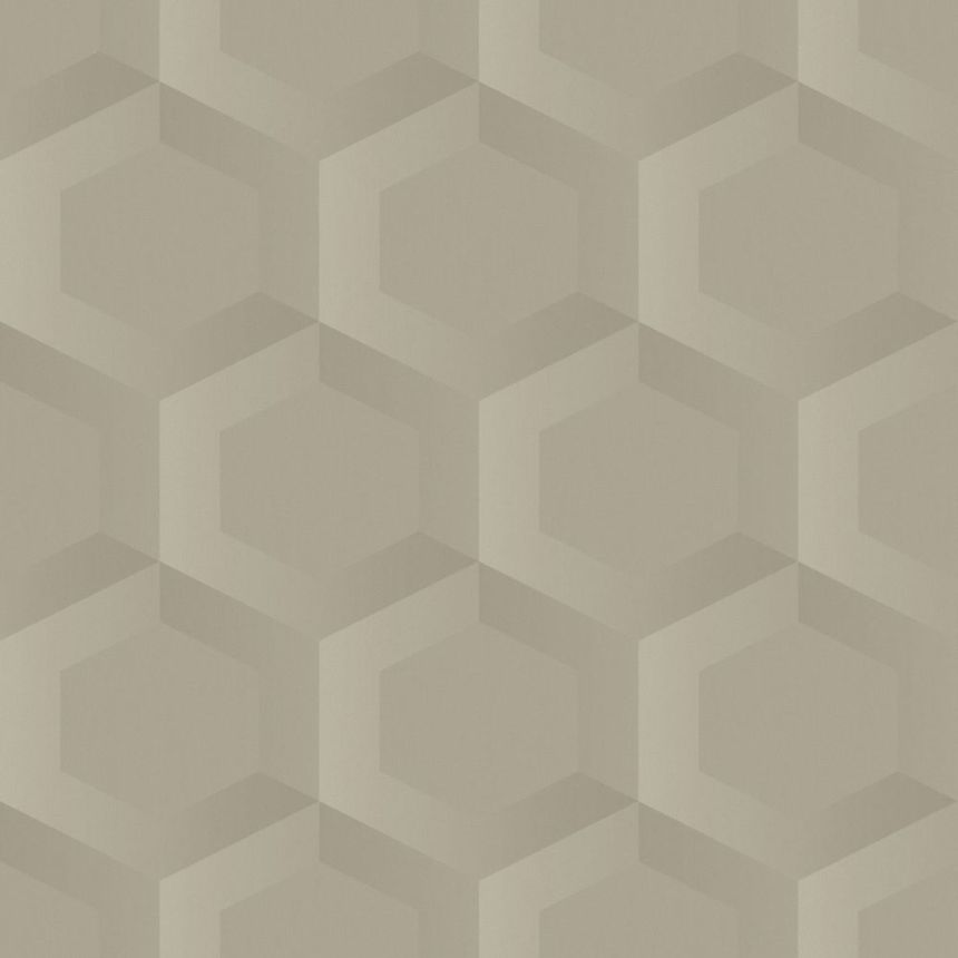 Vliesová tapeta na zeď, béžová, hexagony, 348019, 3D Reflections, Origin