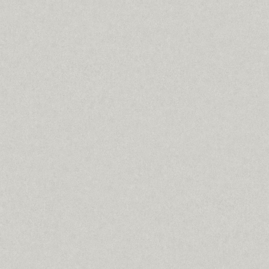 Vliesová tapeta na zeď, šedá, 38703, Borosan Bas, Borastapeter