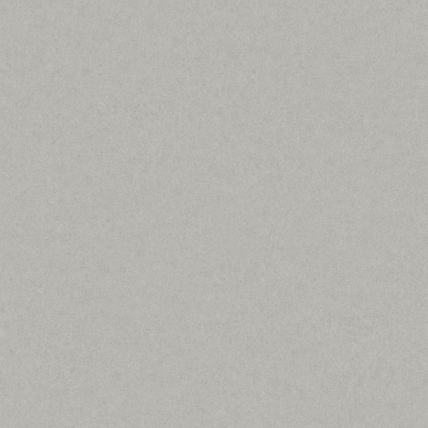 Vliesová tapeta na zeď, šedá, 38704, Borosan Bas, Borastapeter