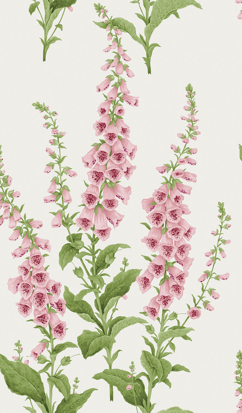 Vliesová tapeta na zeď, krémová, květiny, 130307, Concerto, Graham Brown Premium