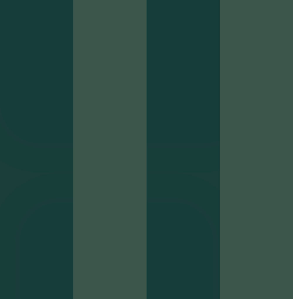 Vliesová tapeta na zeď, zelená, pruhy, 131444, Concerto, Graham Brown Premium