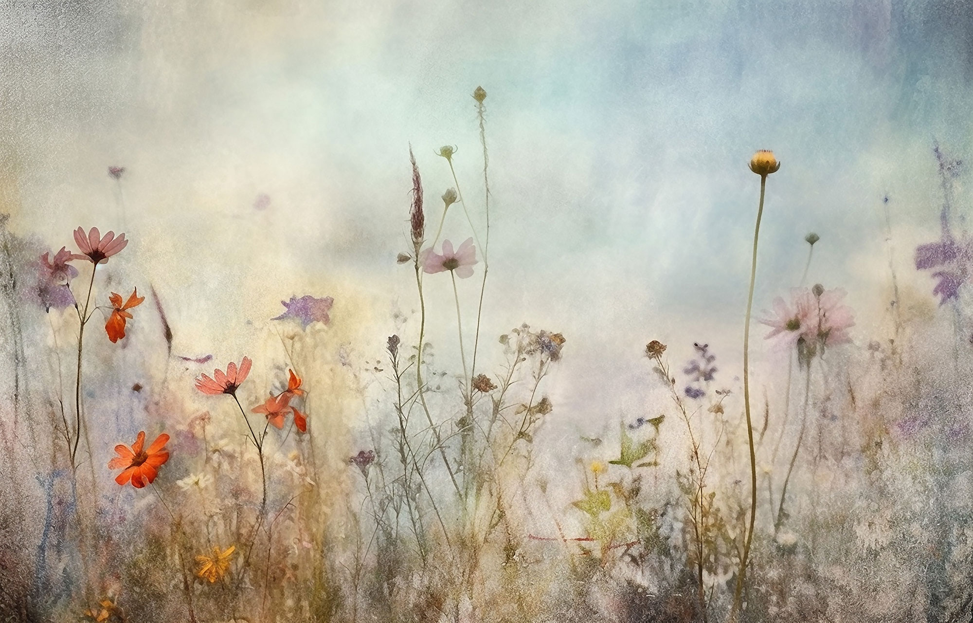 Vliesová obrazová tapeta na zeď, Luční květiny, 10060, 360x280 cm, Vavex