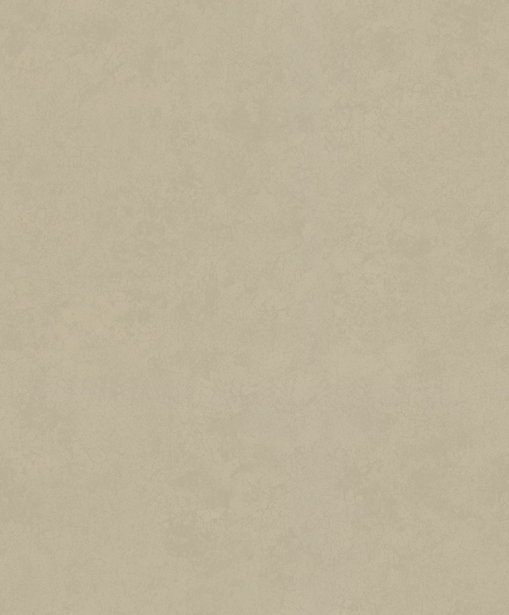 Vliesová tapeta na zeď, hnědo-béžová, štuk, beton, 34629, Terra, Marburg