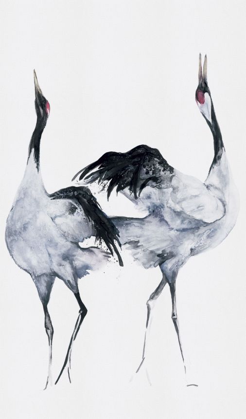 Vliesová fototapeta na zeď, ptáci, volavky, 34595, Kumano, Marburg