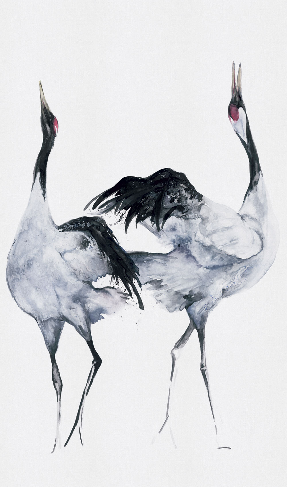 Vliesová fototapeta na zeď, ptáci, volavky, 34595, Kumano, Marburg