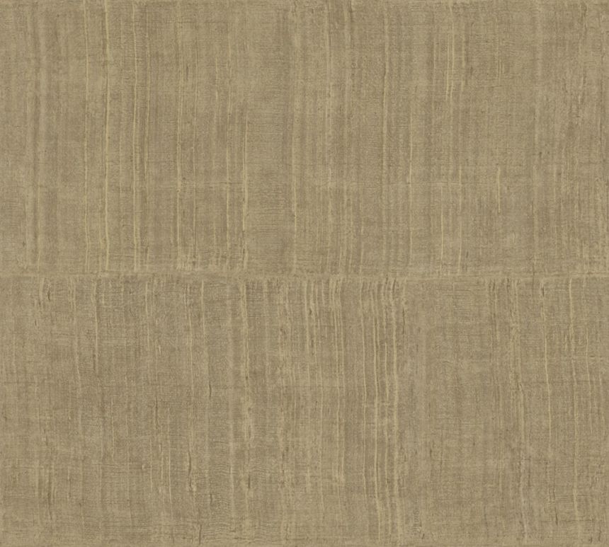 11501, Textura Ignis, Arte