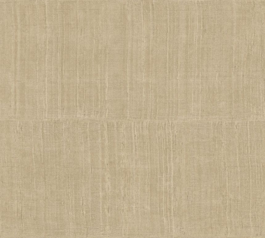 11513, Textura Ignis, Arte