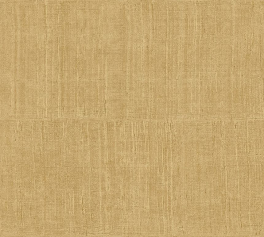 11519, Textura Ignis, Arte